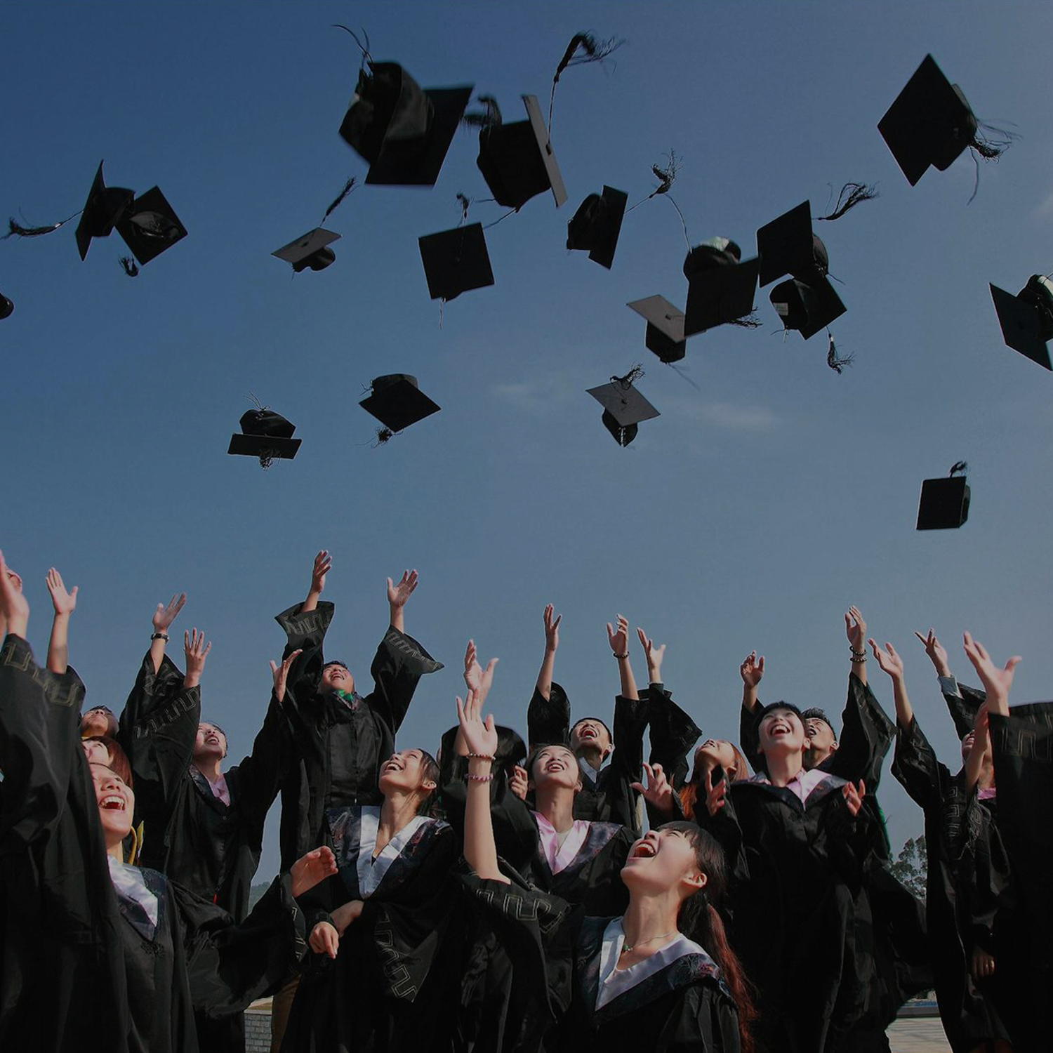 Integrated IAS (Inter + IAS)