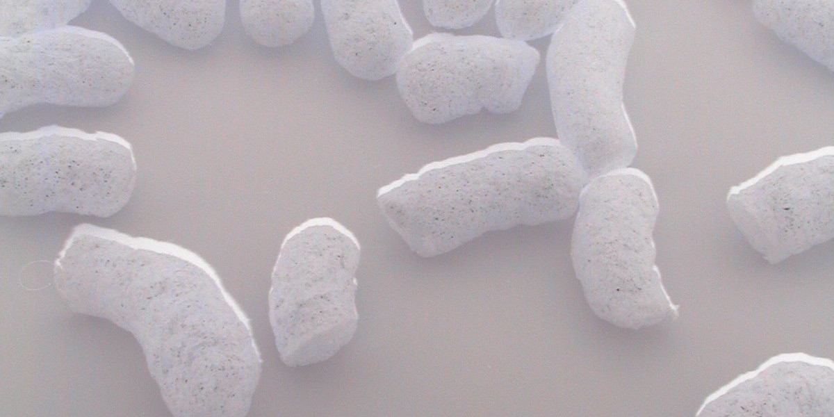 KPV Peptide 500 µg Capsules